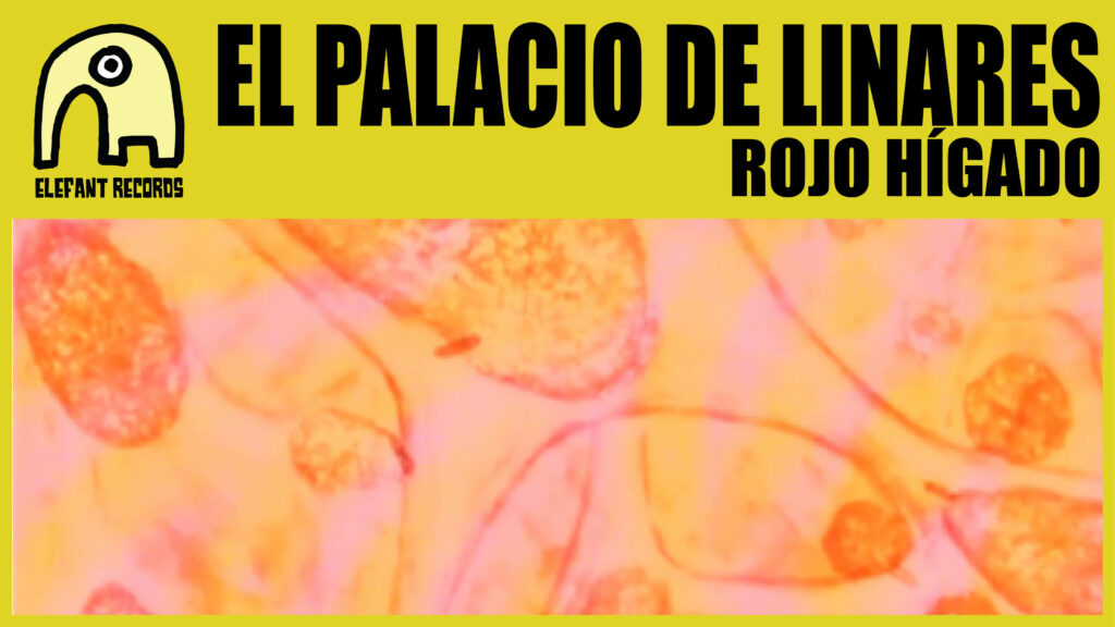 Imagen destacada de video: Rojo Hígado [Video-Clip]